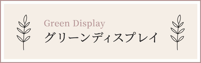グリーンディスプレイ
