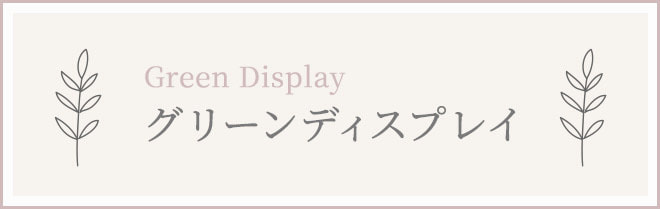 グリーンディスプレイ