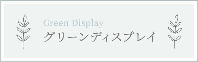 グリーンディスプレイ