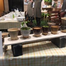 実生苗を育てよう