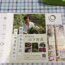 野草標本/夏休み企画