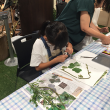 野草標本/夏休み企画