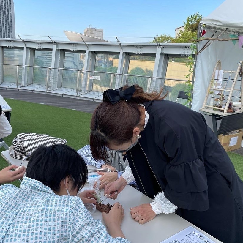 アウトドアワークショップ/まんまる多肉植物